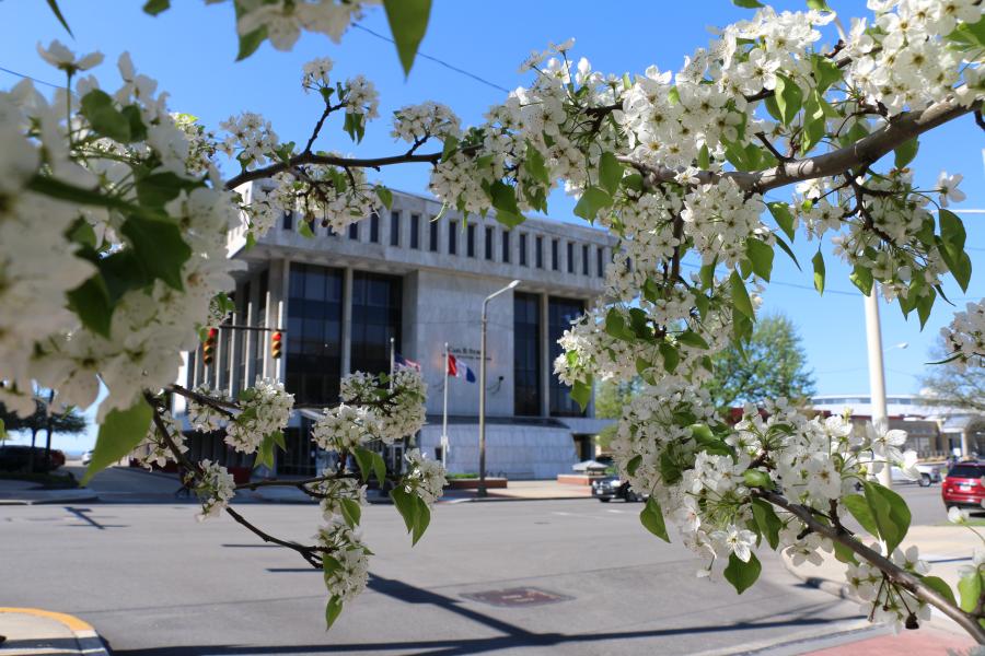 A flowering tree branch in the foreground overlays the Cleveland Public Utilities building in the background
