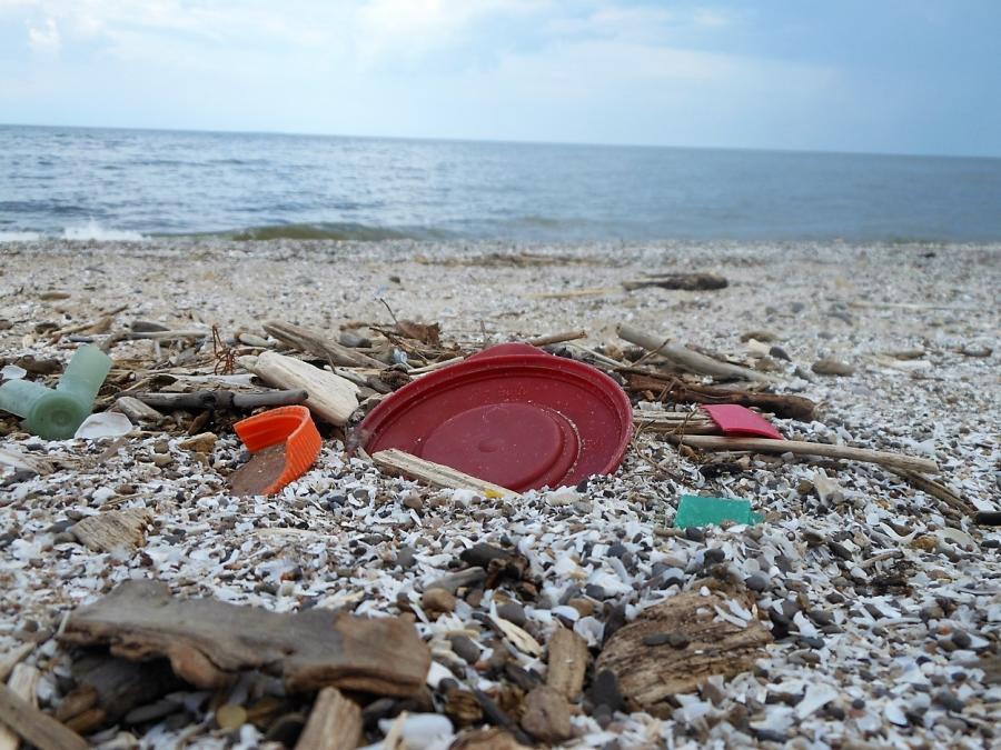 A red frisbee and other pieces of plastic debris litter a beach along Lake Erie